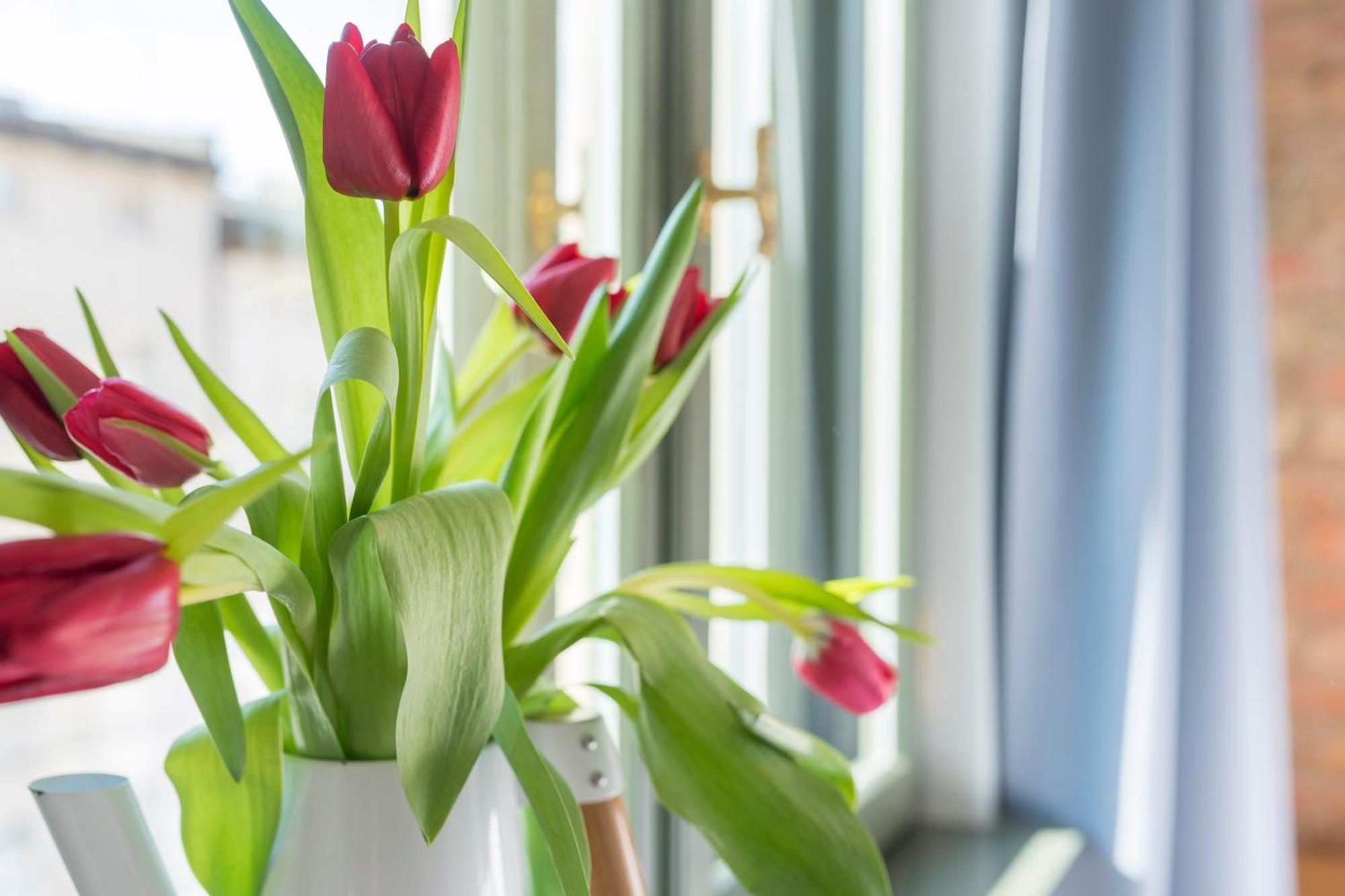 Provenir Home Strzelecka 25 Poznań Buitenkant foto